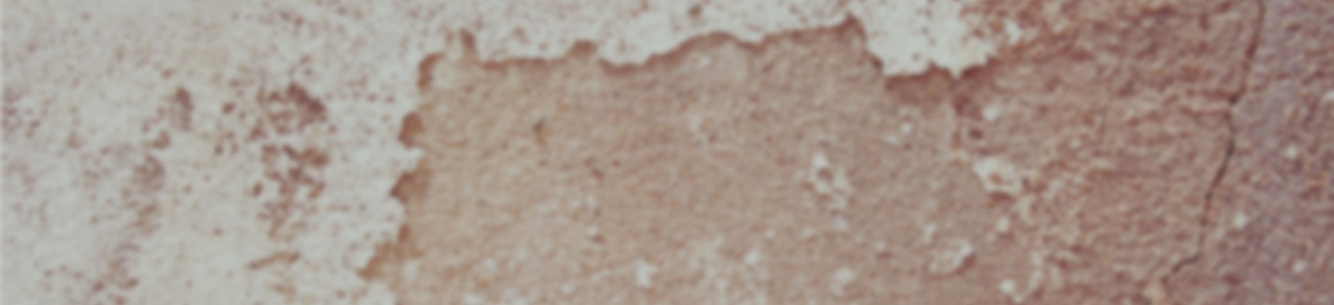 网页短信轰炸机